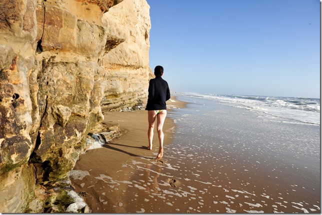 旧金山 san gregorio beach 裸体海滩
