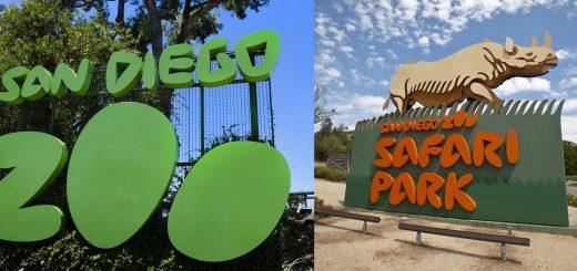 圣地亚哥动物园和圣地亚哥野生动物园门票