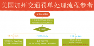 美国加州交通罚单处理流程概要